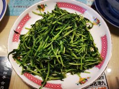 鸡油炒豆苗-细记港九宵夜大牌档(南京西路丰盛里店)