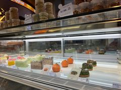 -TD66高山铁皮石斛养生茶饮