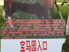 -武清南湖绿博园