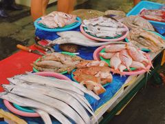 -西归浦每天偶来市场