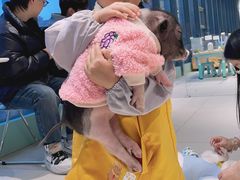 -怪兽屋·羊驼·猫咖·狗咖(俊华广场店)