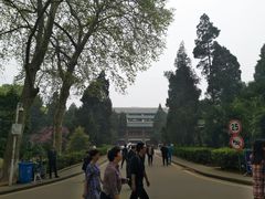 -武汉大学-樱园