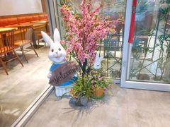 -苗小坛酸汤鱼(酒仙桥店)