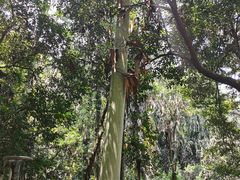 -白云山风景名胜区