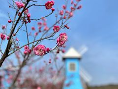 -宜兴龙背山森林公园