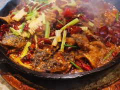 -老板恋上鱼(恒隆广场店)