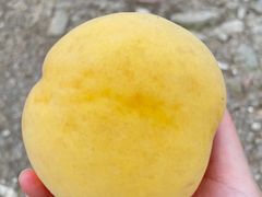 -百果园(万达揽湖苑丙铺路店)