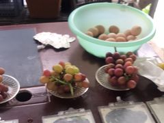 -马陆小张葡萄园农家乐