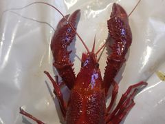 -靓靓蒸虾·头牌蒸虾(雪松路总店)