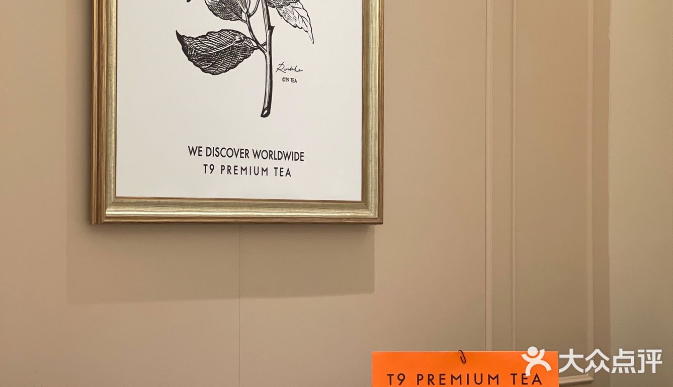 T9 西北首店启幕｜图书📖和果茶🍵免费送！！