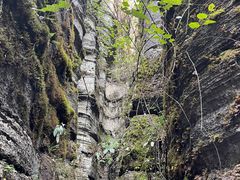 -梭布垭石林景区