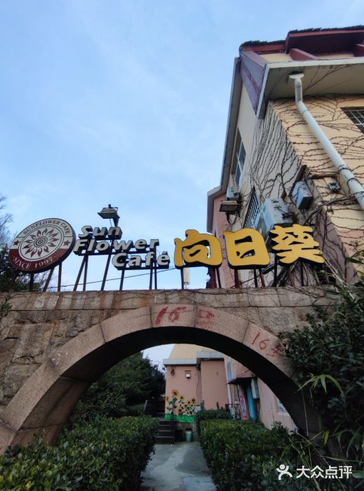 向日葵咖啡图片