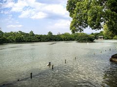 -江心屿景区