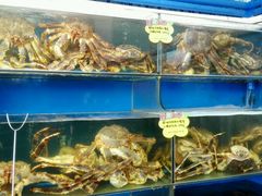 -蚝专家(北滘店)