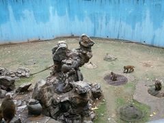 -渭滨公园