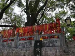 -大槐树寻根祭祖园