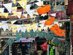 -猫咪博物馆(顶澳仔猫街店)