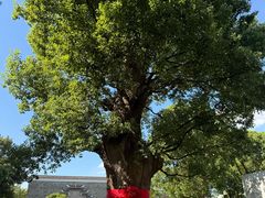 -养云安缦吧THE BAR