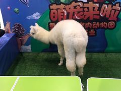 -唐糕祖(商业步行街店)