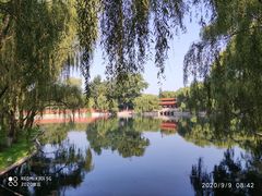 -百脉泉景区