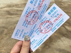 -广东惠东海龟国家级自然保护区