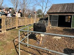 -无锡动物园·太湖欢乐园