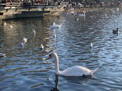 -海德公园