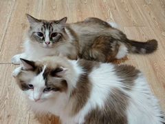 -白兔子密室(长寿路店)