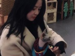 -猫色咖啡·猫咖