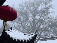 -缙云山景区