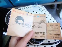 -世界恐龙谷景区