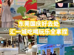 -东莞海德汇一城