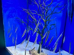 -多彩贵州城极地海洋世界