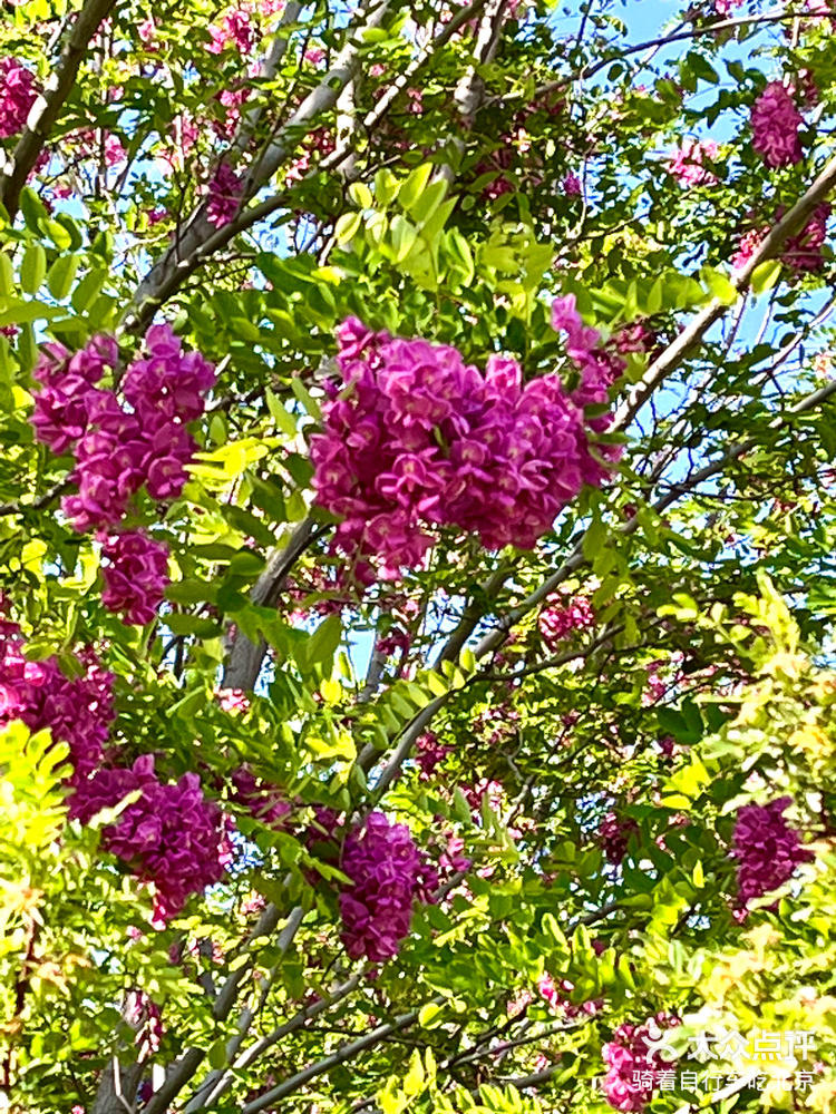 惠水湾森林公园