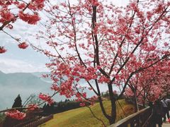 -日月潭
