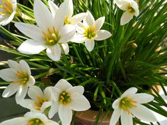 -天津东丽湖风景区