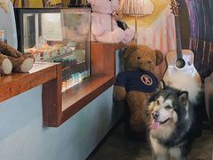 -咖法森林·咖啡  酒吧(天河店)