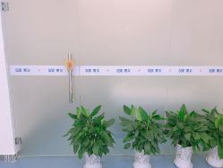 -SOR索尔祛痘·面部肌肤科学管理