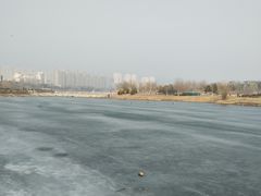 -永定河休闲森林公园