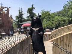 -东方熊牧场