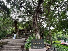 -胡里山炮台