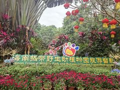 -海南热带野生动植物园