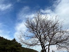 -北京西山国家森林公园