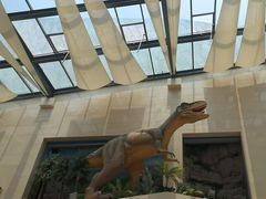 -安徽省地质博物馆