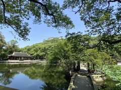 -忠山公园