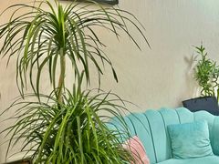 -万达广场(南京江宁店)