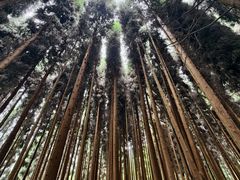 -太阳湾风景区