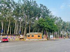 -枫花园汽车电影院(朝阳公园店)