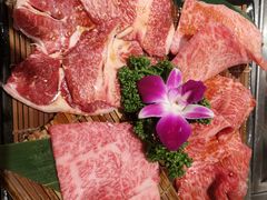 -俺的焼肉(銀座9丁目店)