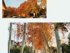 -河南省黄河迎宾馆